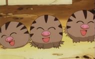 Swinub's Incense Day is the first event of the Season of Heritage (Image via The Pokemon Company)